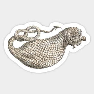 The Boas Sticker